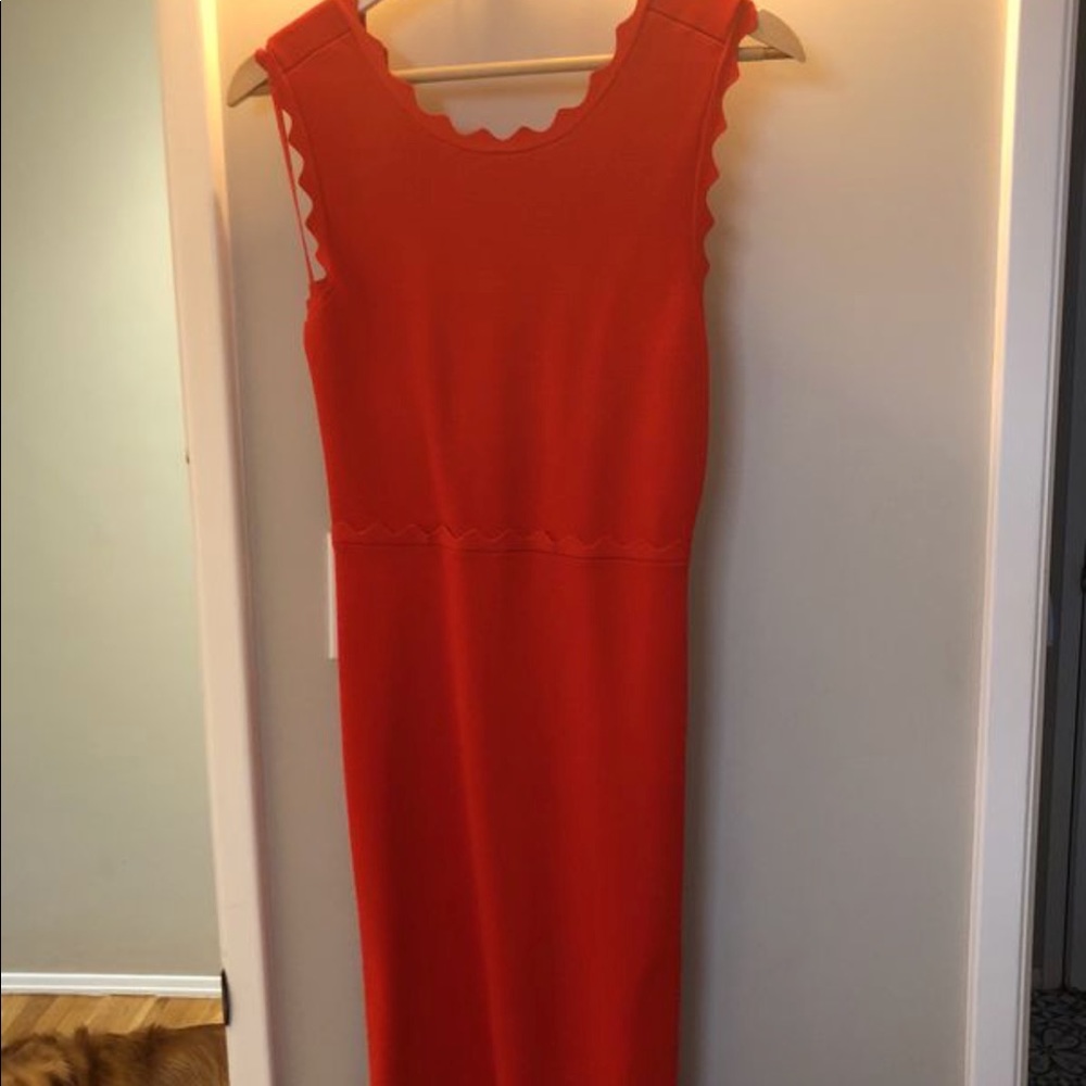 ALC burnt orange dress